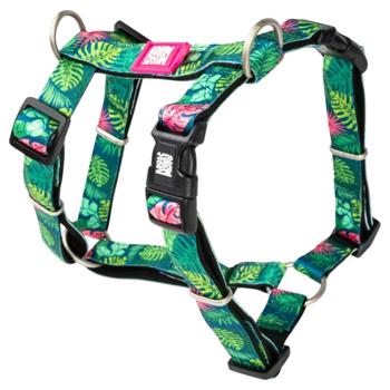 Leash Max and molly Germany - buy, prices for MasterZoo - photo 1