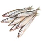 Мойва ціла морожена