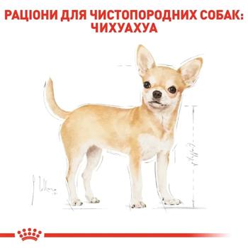 Набір корму Royal Canin Adult для собак породи чихуахуа cухий 1,5кг + вологий 4шт х 85г - купити, ціни на MasterZoo - фото 6