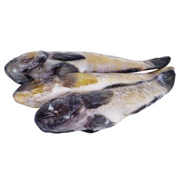 Gobies