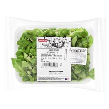 Salad mung Without brand 75g Ukraine - buy, prices for NOVUS - photo 2