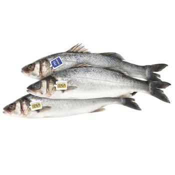 Сибас Metro Chef Греция 400-600