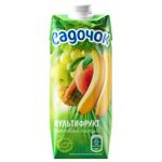 Sadochok Multifruit Nectar 0.5l