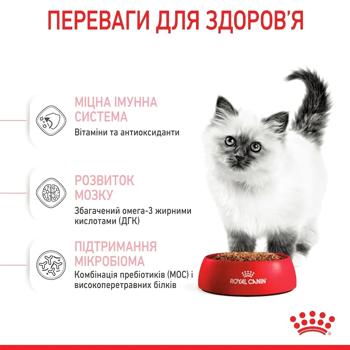 Набір корму Royal Canin для кошенят cухий 2кг + вологий 4шт х 85г - купити, ціни на MasterZoo - фото 8