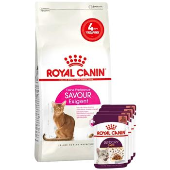 Набір корму Royal Canin Savour Exigent для вибагливих котів cухий 2кг + вологий 4шт х 85г - купити, ціни на MasterZoo - фото 1