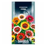 Seedera Chrysanthemum Mix Seeds 0.2g