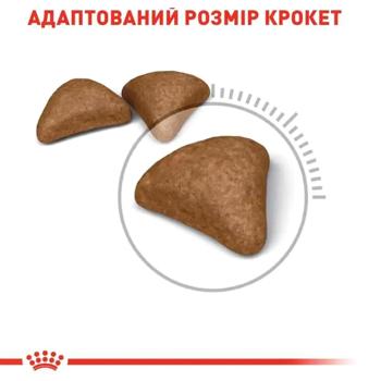 Набір корму Royal Canin Hairball Care для виведення шерсті у котів cухий 2кг + вологий 4шт х 85г - купити, ціни на MasterZoo - фото 3