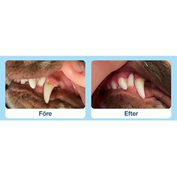 Лакомство ProDen PlaqueOff Dental Bones с арахисовой пастой и бананом для ухода за полостью рта собак малых пород 342г - купить, цены на - фото 4