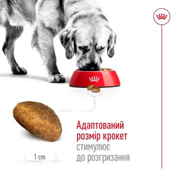 Корм сухой Royal Canin Maxi Adult с домашней птицей для собак больших пород 12кг - купить, цены на MasterZoo - фото 5