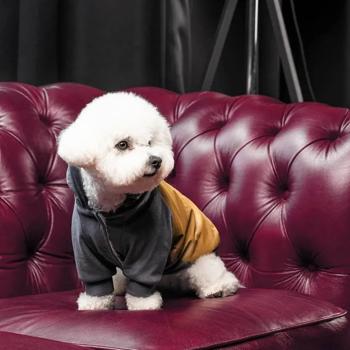 Товстівка для собак Pet Fashion «Rollie» S - купити, ціни на MasterZoo - фото 6