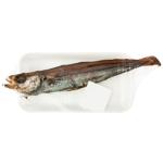 Fish Good Sun Dried Blue Whiting