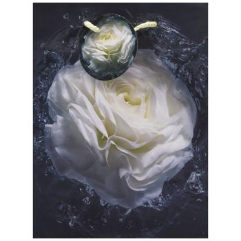 Пакет подарочный Art studio of Happines GB-24125 18х23х10см