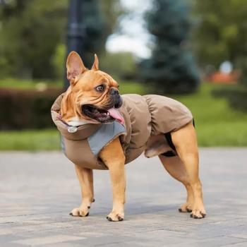 Жилет для собак Pet Fashion Chip S-3 - купити, ціни на MasterZoo - фото 5