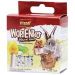 Vitapol Wapienko Dandelion Mineral Block for Rodents 40g
