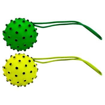 Spiked Ball with Rope Toy for Dogs 36cm - buy, prices for Tavria V - photo 1