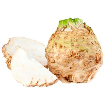 Celery Root - buy, prices for Epicentr FOOD - photo 1