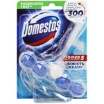 Блок для унитаза Domestos Power 5 Свежесть океана 55г