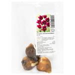 Merlot Lily Tulip Bulbs 3pcs