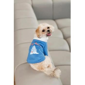 Sweatshirt Pet fashion Ukraine - buy, prices for MasterZoo - photo 6