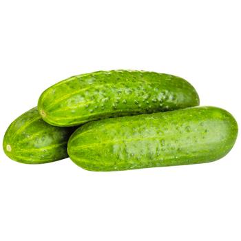 Gherkin Cucumber Import ~20cm - buy, prices for METRO - photo 3