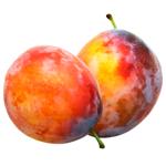 Stanley Plum