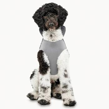 Goo-eez Mock Neck Signature Wrap Jacket for Dogs s.2XS - buy, prices for MasterZoo - photo 2