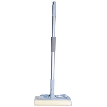 Babado Window Cleaner 20cm With Telescopic Handle 96cm