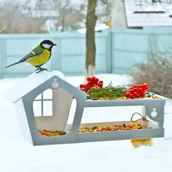 House for Birds House Plastic Window Bird Feeder 15x37x12.5cm - buy, prices for - photo 6