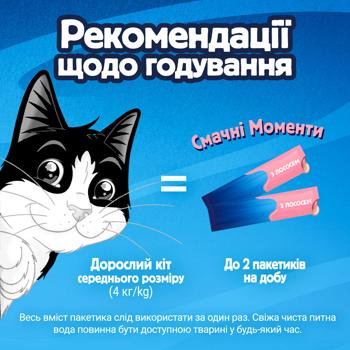 Корм дополнительный Felix Deli Moments с лососем для взрослых и пожилых кошек 40г - купить, цены на MasterZoo - фото 7