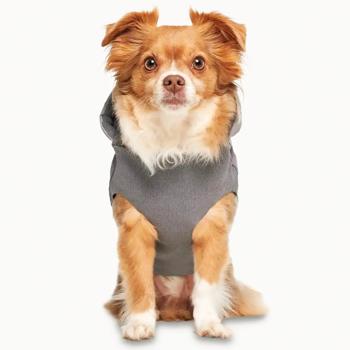 Goo-eez Hooded Full Body Winter Snowsuit for Dogs with Hood s.M Grey - buy, prices for - photo 3