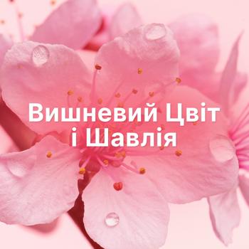 Lenor Cherry Blossom and Sage Fabric Conditioner 700ml - buy, prices for - photo 6