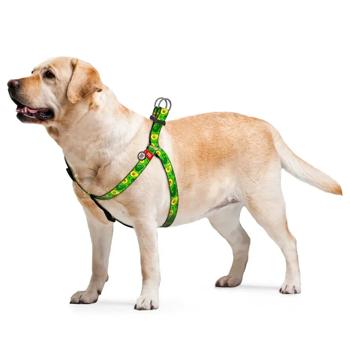 Waudog Nylon Harness for Dogs with QR Passport 50-80cm/20mm with Avocado Design - buy, prices for MasterZoo - photo 4
