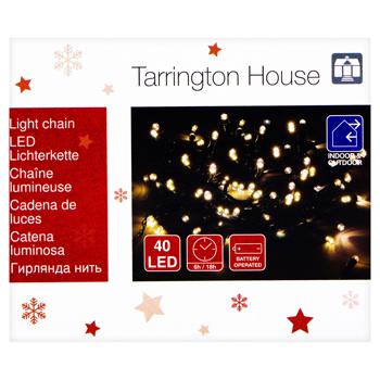 Tarrington House Light Chain 40LED with Timer - buy, prices for - photo 2