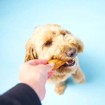 Knash Woofa Loofa Snack for Dental Health of Small Breed Dogs with Mint, Parsley and Coconut Oil 115g - buy, prices for - photo 7