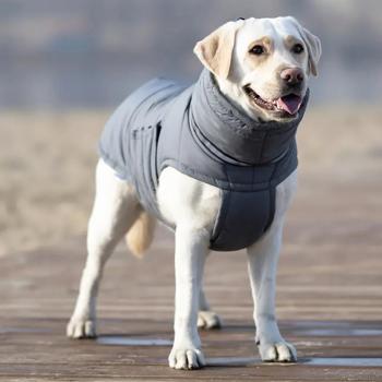 Noble Pet Bobby пуховик для собак 4XL - купити, ціни на MasterZoo - фото 6
