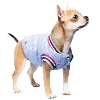 Pet Fashion Spike Bomber Jacket for Dogs s.M - buy, prices for MasterZoo - photo 2