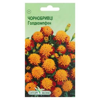 Elitsortnasinnia Goldkampfen Marigold Seeds 0.5g