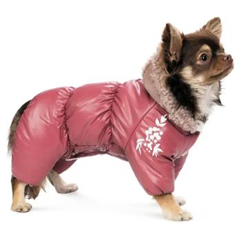 Комбінезон для собак Pet Fashion Cherry M - купити, ціни на MasterZoo - фото 2