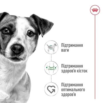 Набір корму Royal Canin Mini Adult для собак малих порід cухий 2кг + вологий 4шт х 85г - купити, ціни на MasterZoo - фото 2