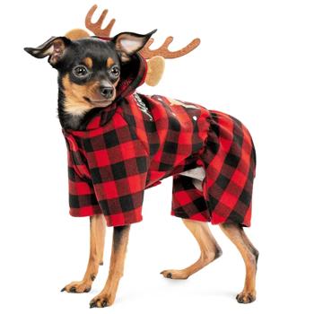 Costume Pet fashion - buy, prices for MasterZoo - photo 3