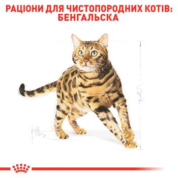 Корм сухий Royal Canin з домашньою птицею для дорослих котів бенгальської породи 2кг - купити, ціни на MasterZoo - фото 3