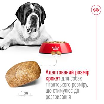 Royal Canin Dry Food with Poultry for Adult Dogs of Giant Breeds 15kg - buy, prices for MasterZoo - photo 3