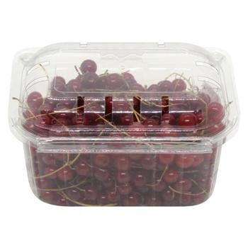 Eco Vista Currant - buy, prices for - photo 1