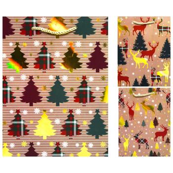 Buromax Craft Gift Bag S 18x23x8cm