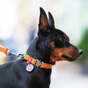 Waudog Waterproof Dog Collar with QR Passport 28-40cm/20mm Orange - buy, prices for MasterZoo - photo 2