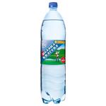 Polyana Kvasova Highly Carbonated Mineral Water 1.5l