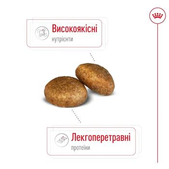 Royal Canin Maxi Adult Dry Food with Poultry for Dogs of Large Breeds 12kg - buy, prices for MasterZoo - photo 4