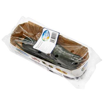 Перець чілі халапеньо 100г