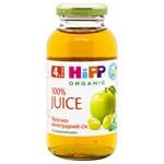 Hipp Sugar Free Apple-Grape Juice 200ml