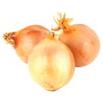 Цибуля ріпчаста